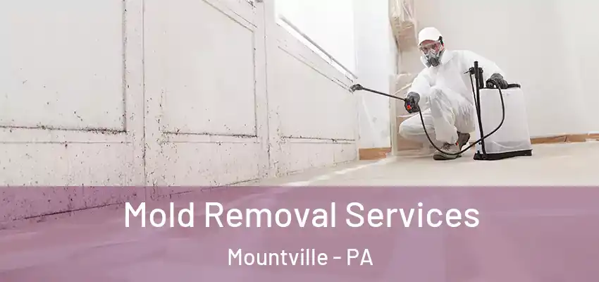  Mold Removal Services Mountville - PA