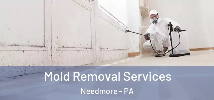 Mold Removal Services Needmore - PA
