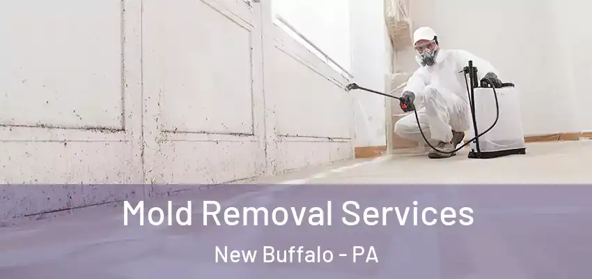 Mold Removal Services New Buffalo - PA
