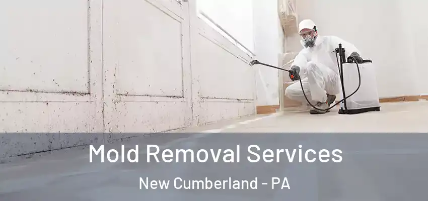  Mold Removal Services New Cumberland - PA