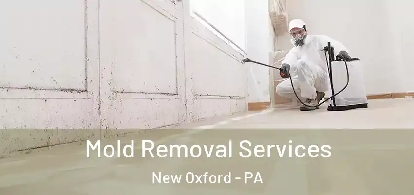  Mold Removal Services New Oxford - PA