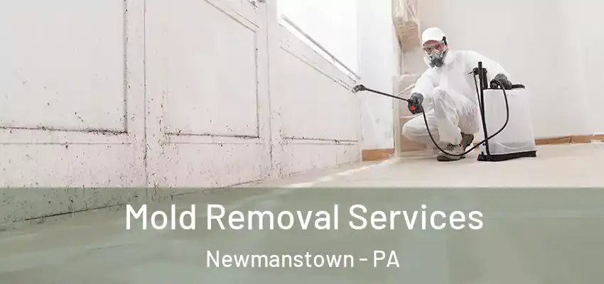  Mold Removal Services Newmanstown - PA