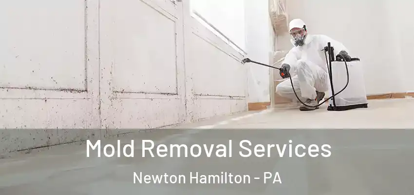  Mold Removal Services Newton Hamilton - PA