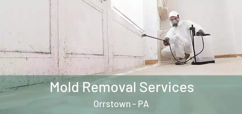 Mold Removal Services Orrstown - PA