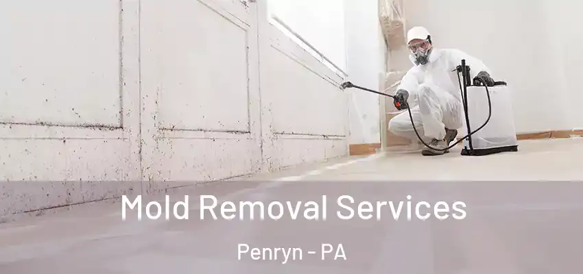  Mold Removal Services Penryn - PA