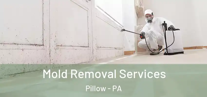  Mold Removal Services Pillow - PA