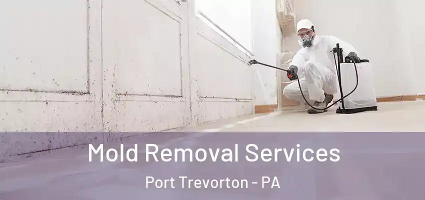  Mold Removal Services Port Trevorton - PA