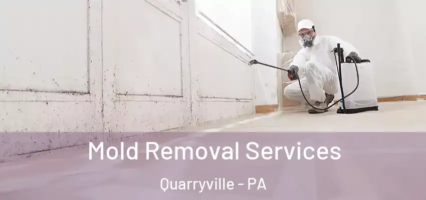  Mold Removal Services Quarryville - PA