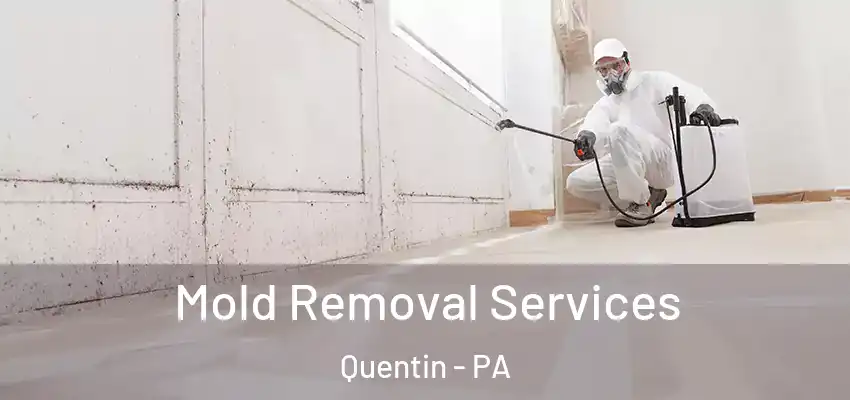  Mold Removal Services Quentin - PA