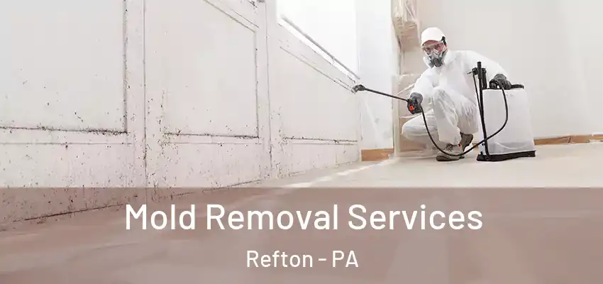  Mold Removal Services Refton - PA