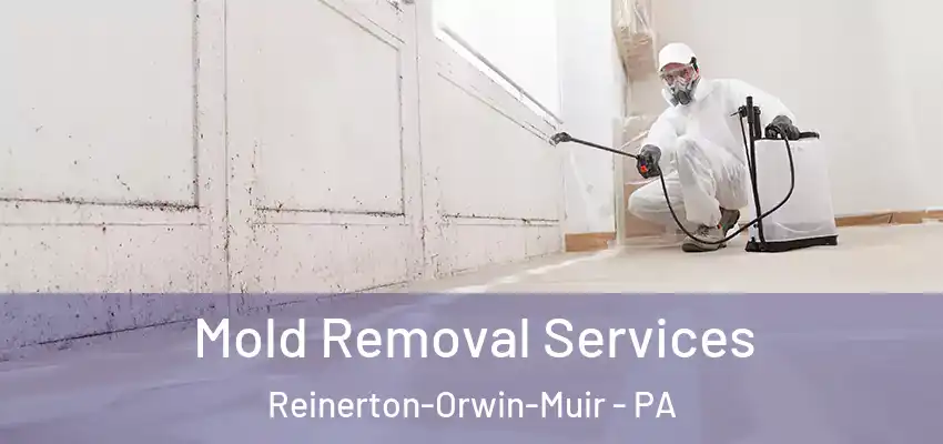 Mold Removal Services Reinerton-Orwin-Muir - PA
