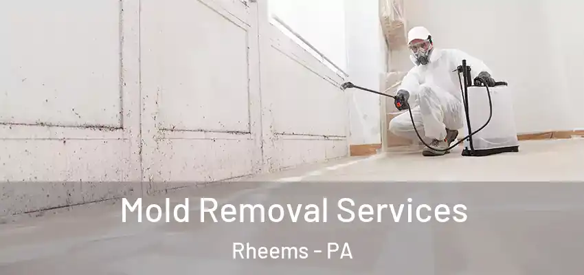 Mold Removal Services Rheems - PA