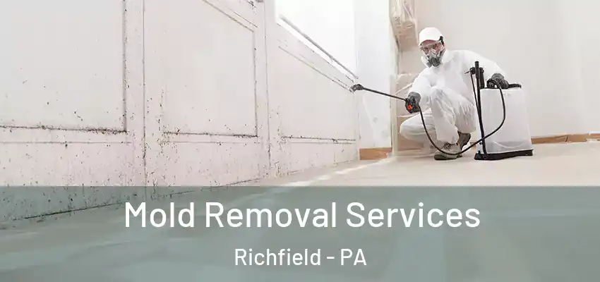 Mold Removal Services Richfield - PA
