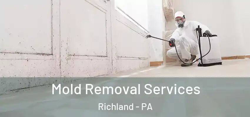 Mold Removal Services Richland - PA