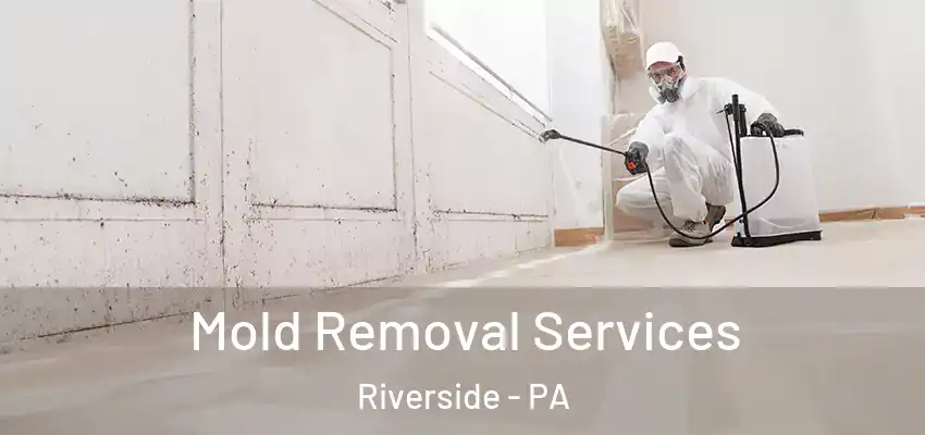 Mold Removal Services Riverside - PA