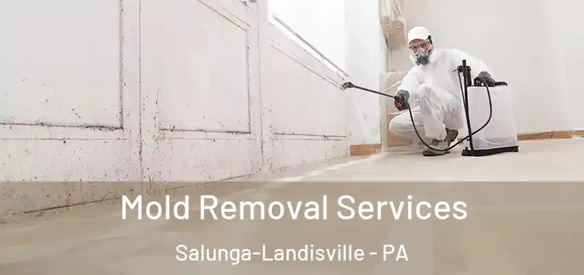 Mold Removal Services Salunga-Landisville - PA