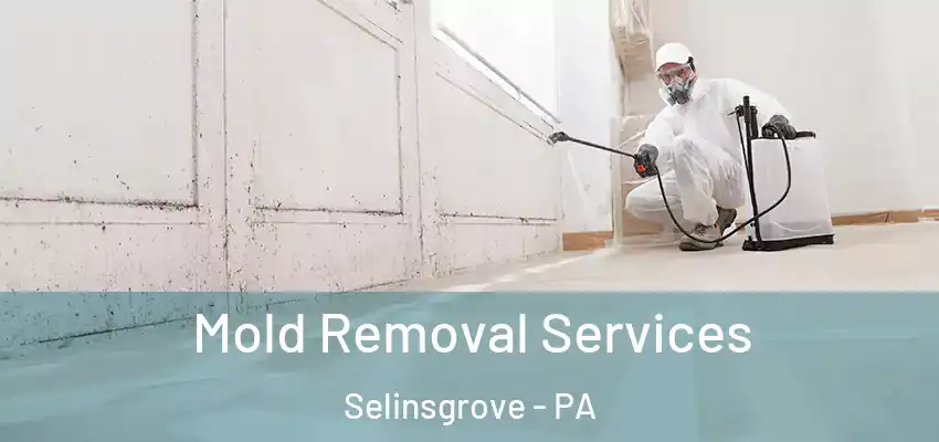 Mold Removal Services Selinsgrove - PA