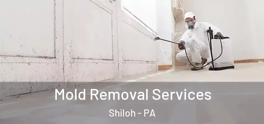  Mold Removal Services Shiloh - PA
