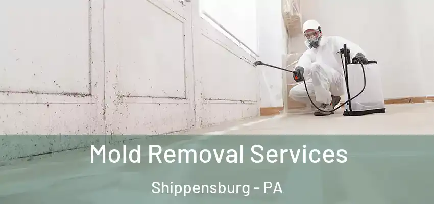  Mold Removal Services Shippensburg - PA