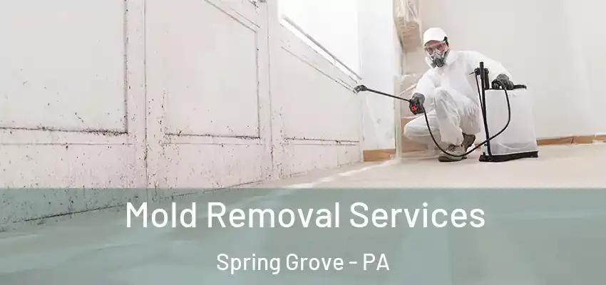  Mold Removal Services Spring Grove - PA