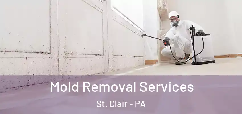  Mold Removal Services St. Clair - PA