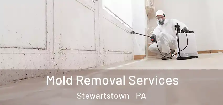  Mold Removal Services Stewartstown - PA