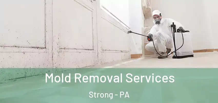 Mold Removal Services Strong - PA
