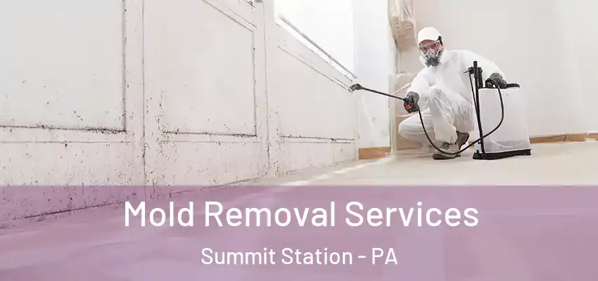 Mold Removal Services Summit Station - PA