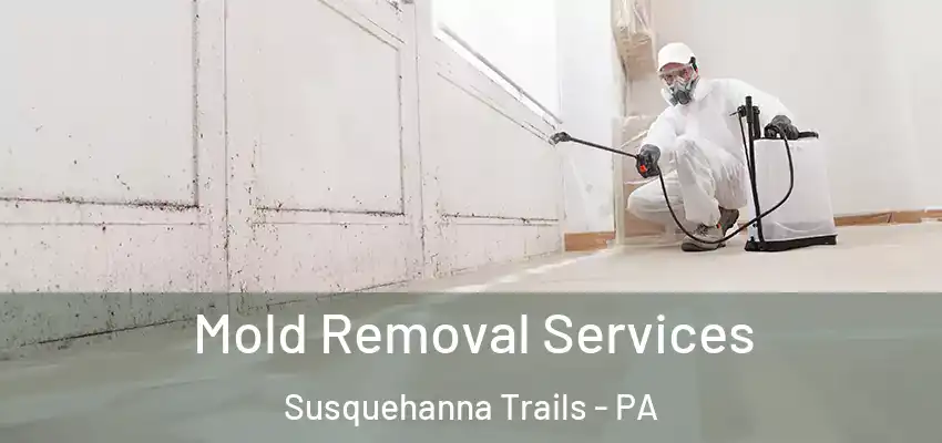 Mold Removal Services Susquehanna Trails - PA
