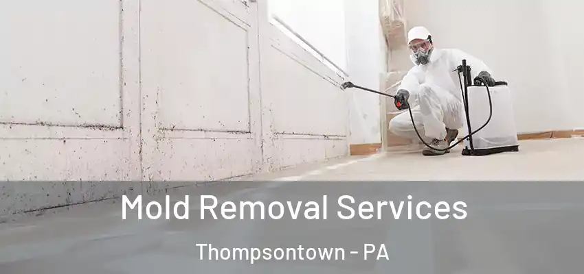 Mold Removal Services Thompsontown - PA