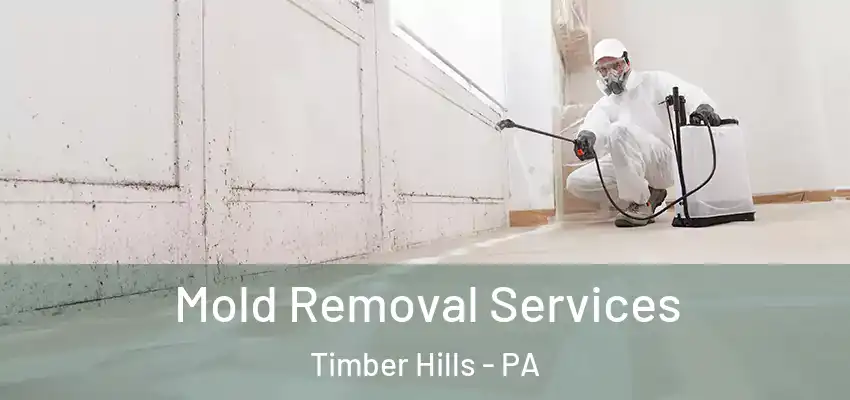 Mold Removal Services Timber Hills - PA