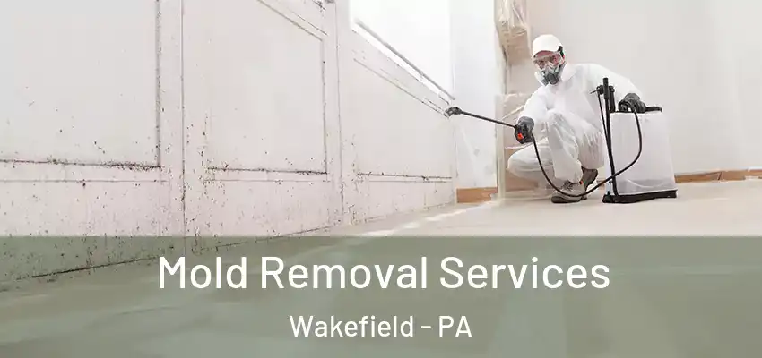  Mold Removal Services Wakefield - PA