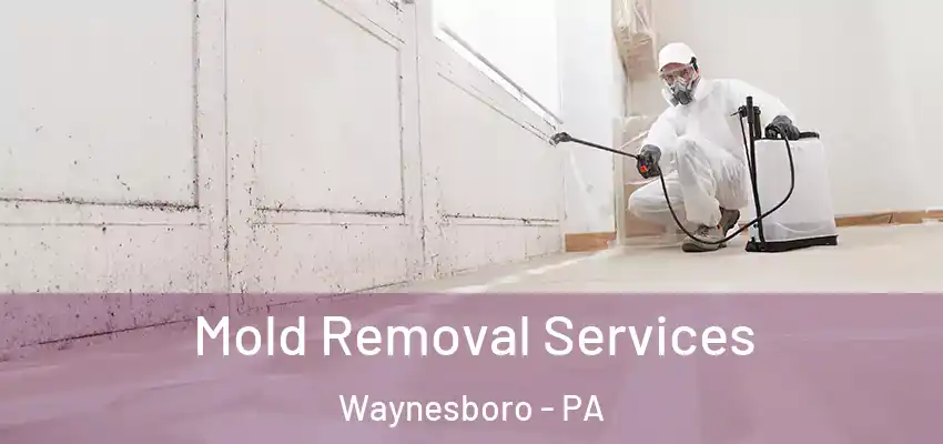  Mold Removal Services Waynesboro - PA