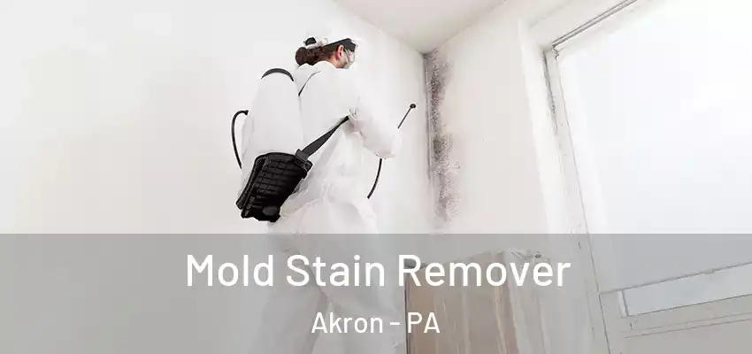 Mold Stain Remover Akron - PA