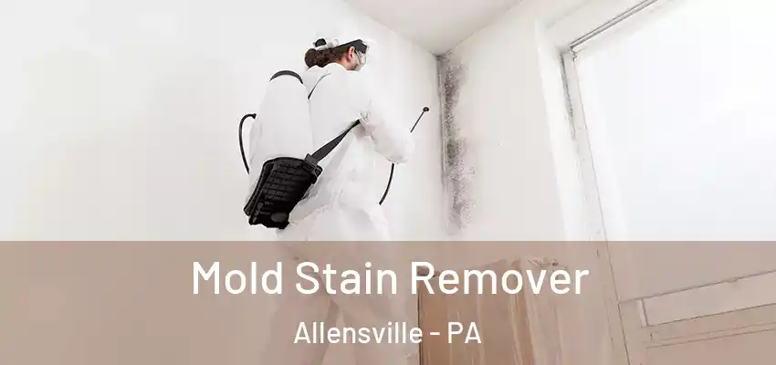 Mold Stain Remover Allensville - PA