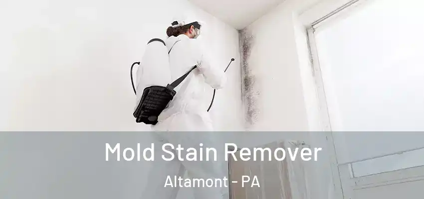  Mold Stain Remover Altamont - PA