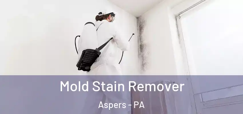 Mold Stain Remover Aspers - PA