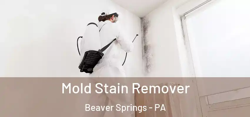 Mold Stain Remover Beaver Springs - PA