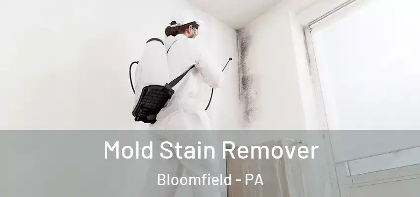  Mold Stain Remover Bloomfield - PA