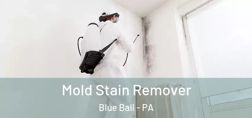  Mold Stain Remover Blue Ball - PA