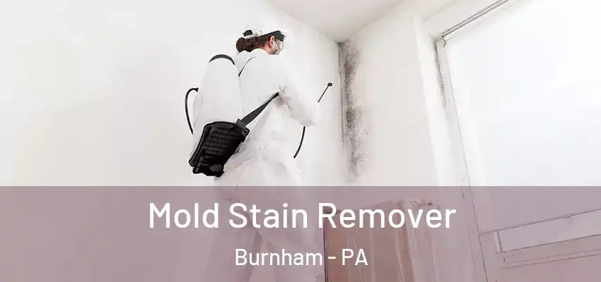 Mold Stain Remover Burnham - PA