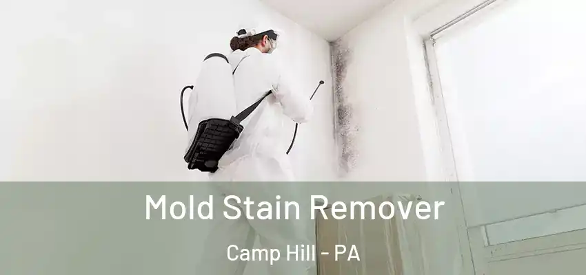  Mold Stain Remover Camp Hill - PA