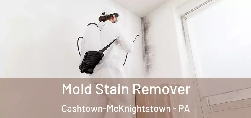  Mold Stain Remover Cashtown-McKnightstown - PA