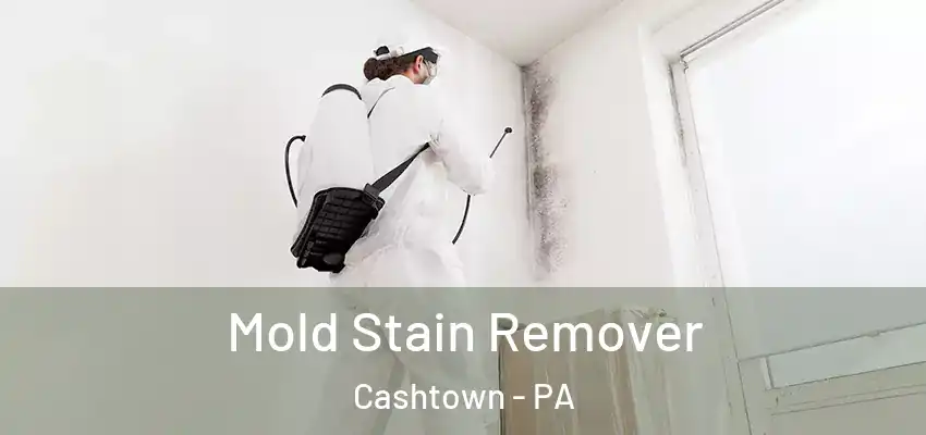 Mold Stain Remover Cashtown - PA