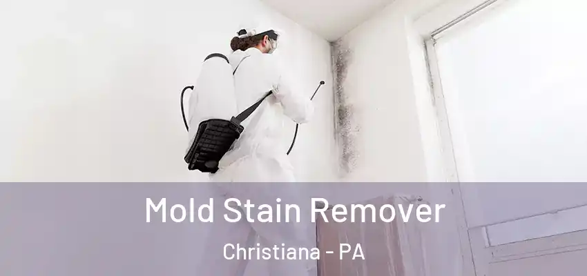 Mold Stain Remover Christiana - PA