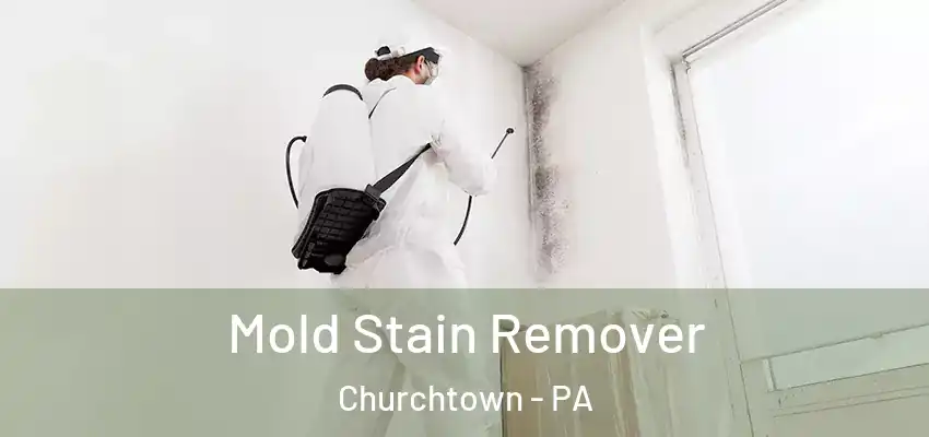 Mold Stain Remover Churchtown - PA