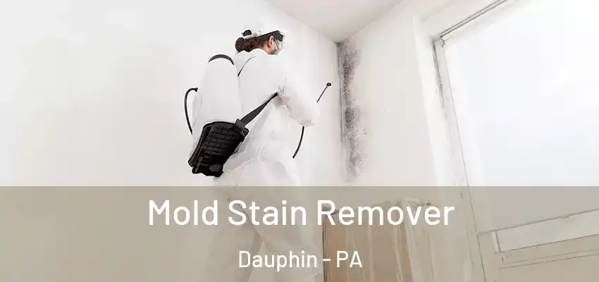 Mold Stain Remover Dauphin - PA