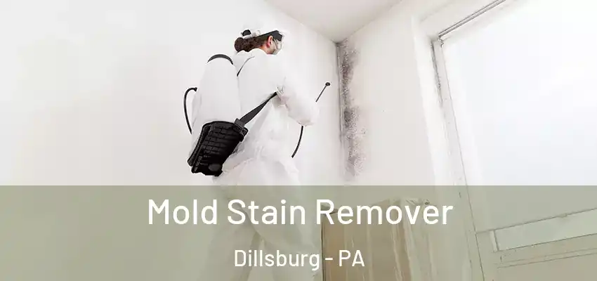  Mold Stain Remover Dillsburg - PA