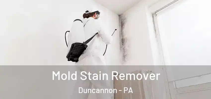 Mold Stain Remover Duncannon - PA