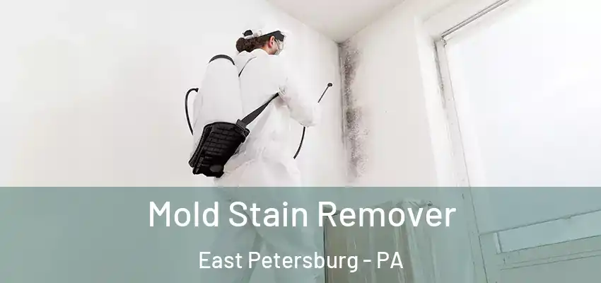 Mold Stain Remover East Petersburg - PA